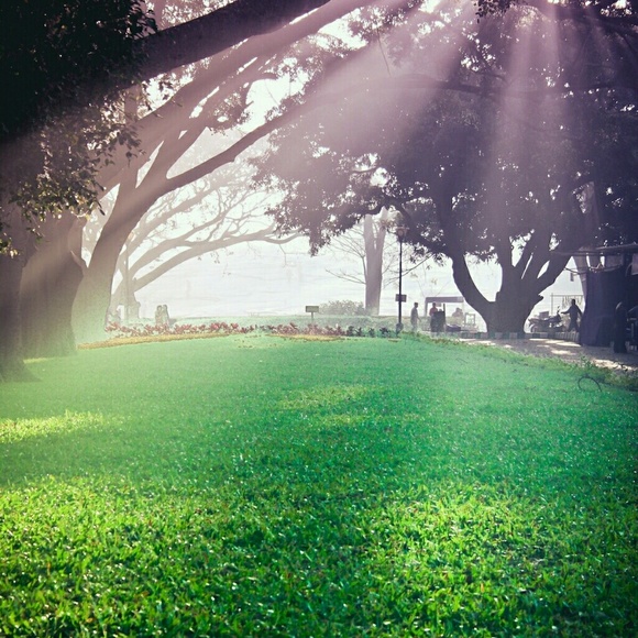 Meet your Posher, Toya - Picture 1 of 1